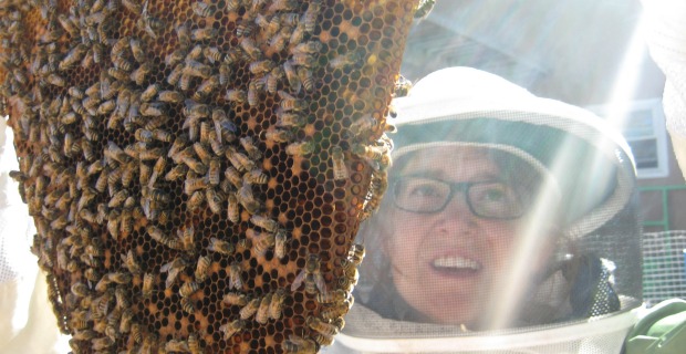 Beekeeping Basics – Hive & Home