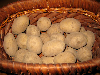 Potato Seeds and more seeds!