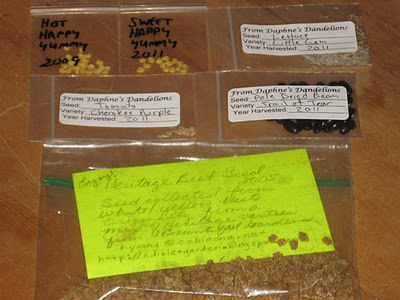 Seed Gifts