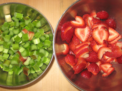 Strawberry Rhubarb Honey Galette