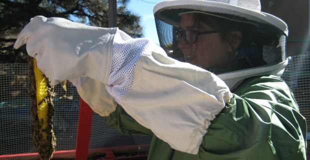 Beekeeping Basics – Equipment