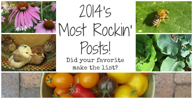 2014’s Most Rockin’ Posts