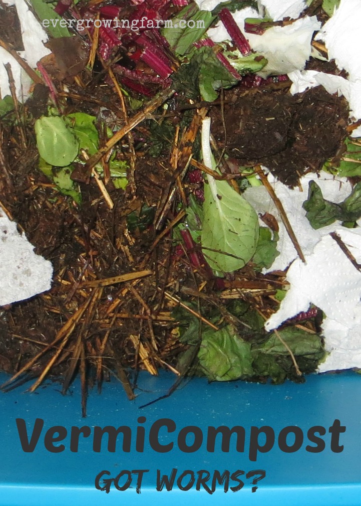 Vermicomposting & Worm Bins – Ever Growing Farm