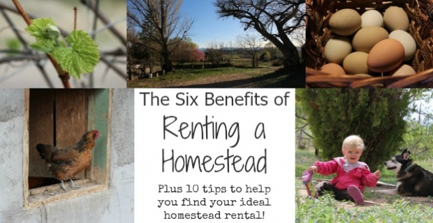 The Benefits of Renting a Homestead