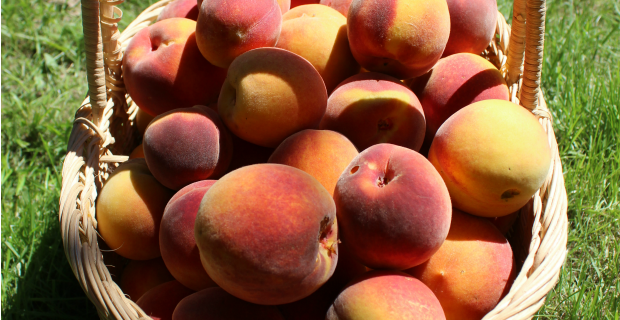 In the Kitchen – Peaches!