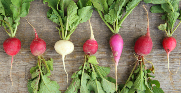 Six Vegetables You Can Grow in Less than 60 Days